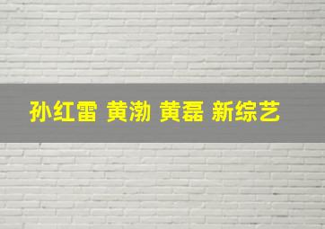 孙红雷 黄渤 黄磊 新综艺